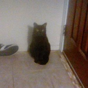 Meet your Posher, Celeste